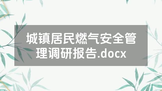 城镇居民燃气安全管理调研报告.docx