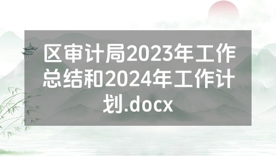 区审计局2023年工作总结和2024年工作计划.docx