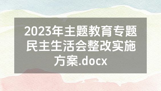 2023年主题教育专题民主生活会整改实施方案.docx
