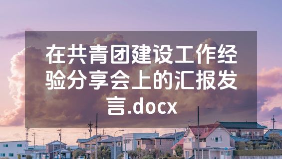 在共青团建设工作经验分享会上的汇报发言.docx