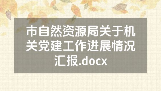 市自然资源局关于机关党建工作进展情况汇报.docx
