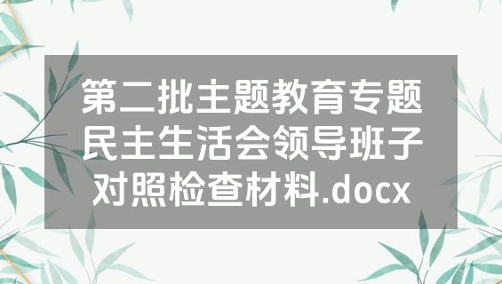 第二批主题教育专题民主生活会领导班子对照检查材料.docx