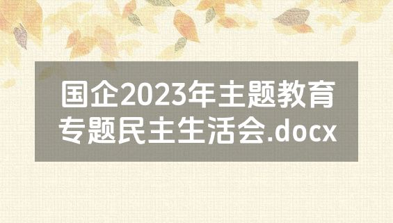 国企2023年主题教育专题民主生活会.docx