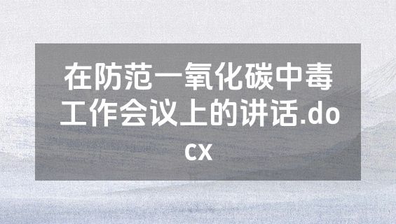 在防范一氧化碳中毒工作会议上的讲话.docx