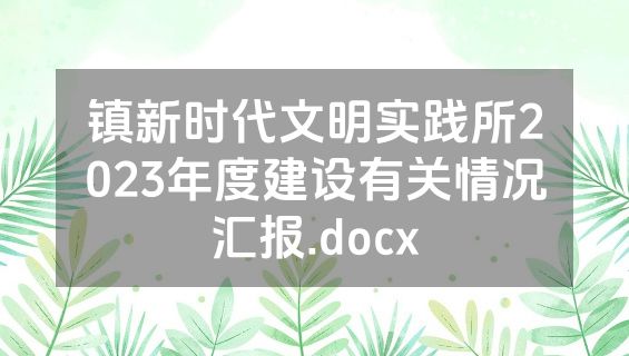 镇新时代文明实践所2023年度建设有关情况汇报.docx