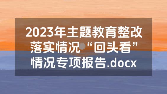 2023年主题教育整改落实情况“回头看”情况专项报告.docx
