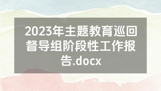 2023年主题教育巡回督导组阶段性工作报告.docx