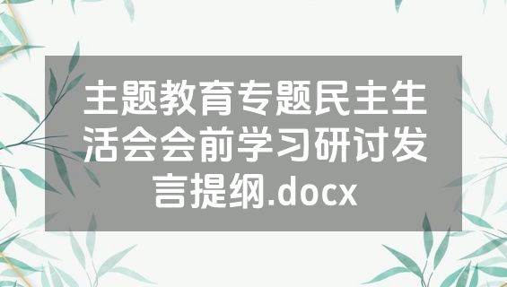 主题教育专题民主生活会会前学习研讨发言提纲.docx