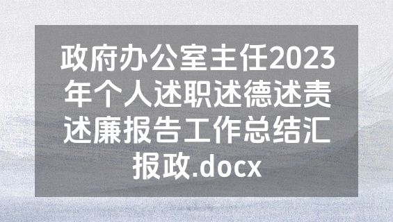 政府办公室主任2023年个人述职述德述责述廉报告工作总结汇报政.docx