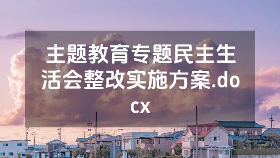主题教育专题民主生活会整改实施方案.docx