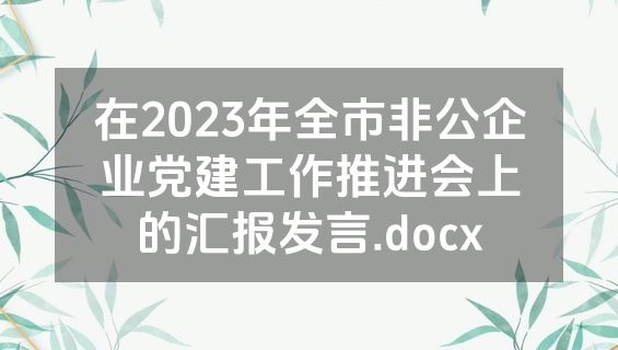 在2023年全市非公企业党建工作推进会上的汇报发言.docx