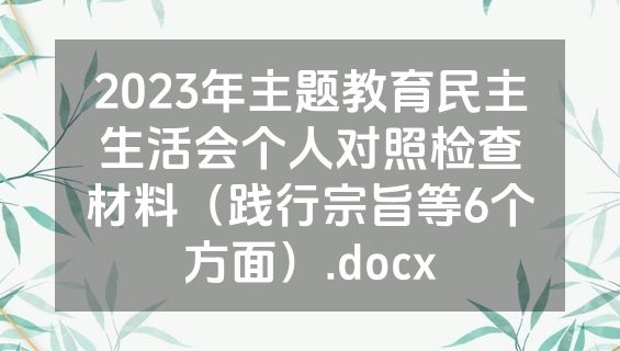 2023年主题教育民主生活会个人对照检查材料（践行宗旨等6个方面）.docx