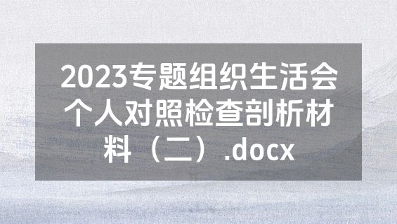 2023专题组织生活会个人对照检查剖析材料（二）.docx
