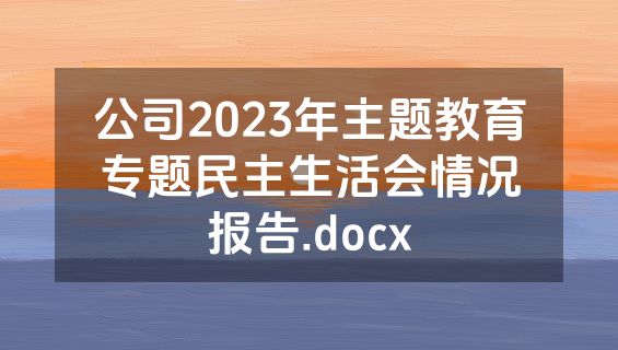 公司2023年主题教育专题民主生活会情况报告.docx