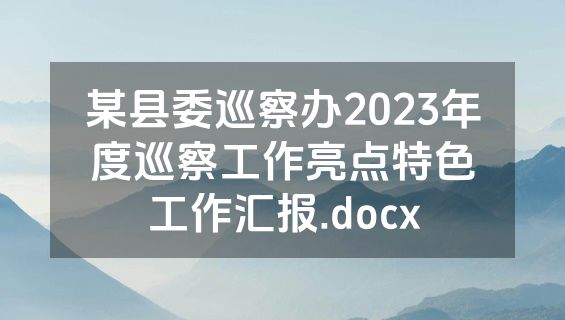 某县委巡察办2023年度巡察工作亮点特色工作汇报.docx