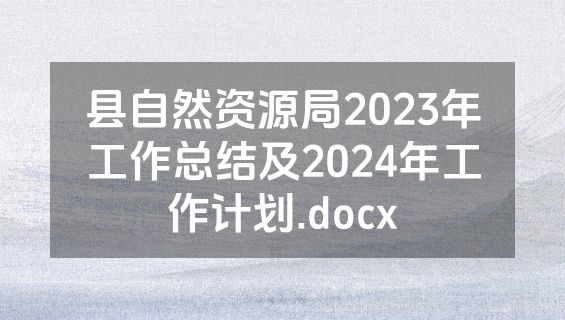 县自然资源局2023年工作总结及2024年工作计划.docx