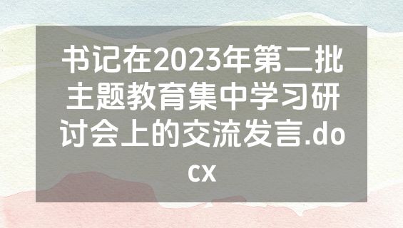 书记在2023年第二批主题教育集中学习研讨会上的交流发言.docx