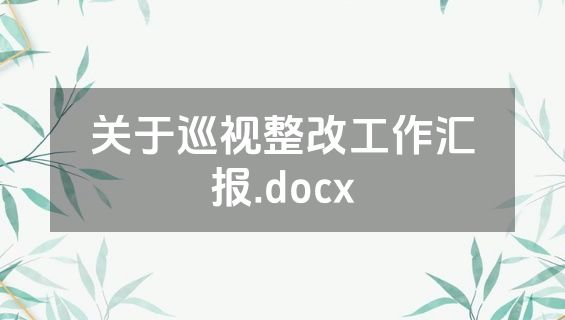 关于巡视整改工作汇报.docx