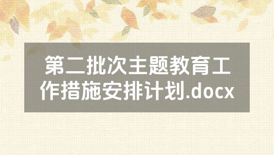 第二批次主题教育工作措施安排计划.docx