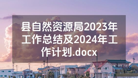 县自然资源局2023年工作总结及2024年工作计划.docx