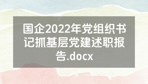 国企2022年党组织书记抓基层党建述职报告.docx