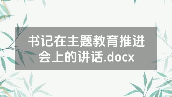 书记在主题教育推进会上的讲话.docx