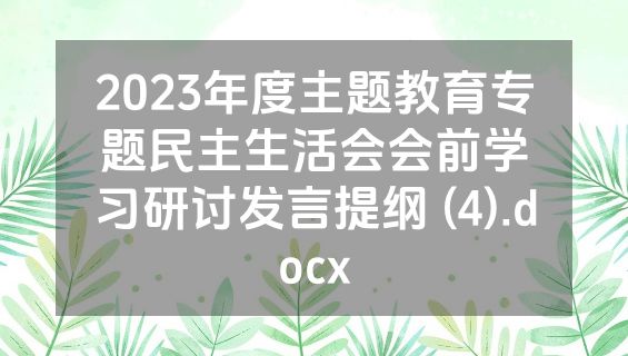 2023年度主题教育专题民主生活会会前学习研讨发言提纲 (4).docx
