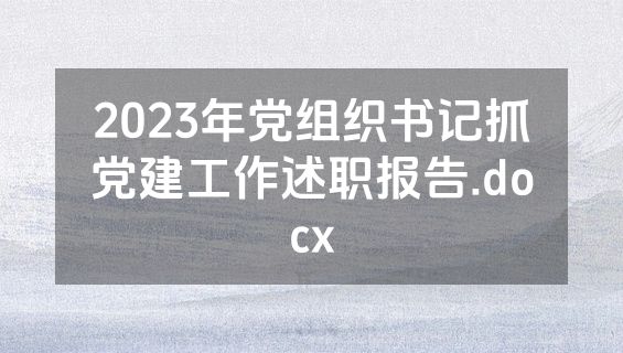 2023年党组织书记抓党建工作述职报告.docx