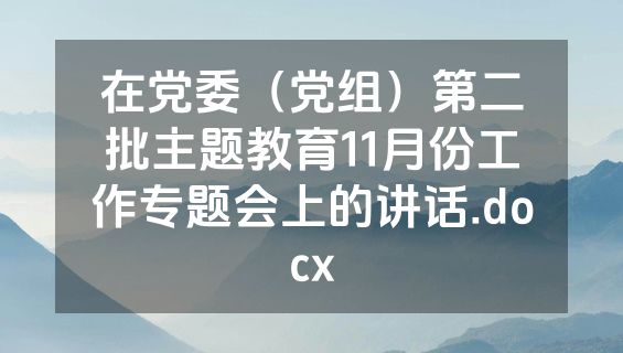 在党委（党组）第二批主题教育11月份工作专题会上的讲话.docx