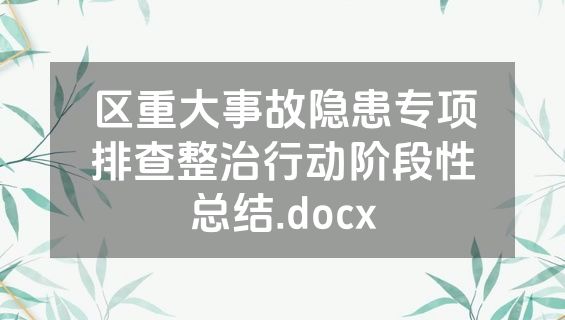 区重大事故隐患专项排查整治行动阶段性总结.docx