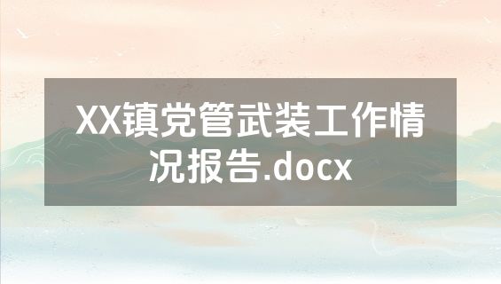XX镇党管武装工作情况报告.docx