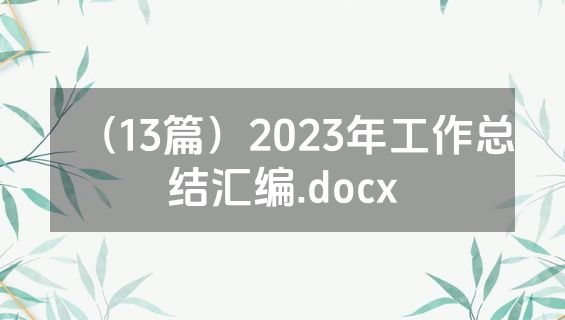 （13篇）2023年工作总结汇编.docx