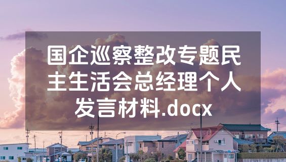 国企巡察整改专题民主生活会总经理个人发言材料.docx
