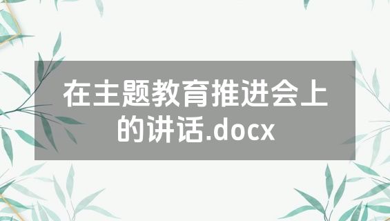 在主题教育推进会上的讲话.docx