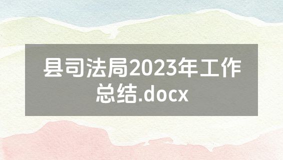 县司法局2023年工作总结.docx