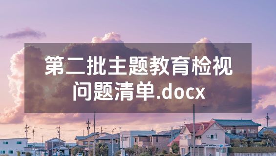 第二批主题教育检视问题清单.docx