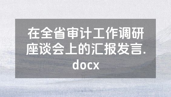 在全省审计工作调研座谈会上的汇报发言.docx