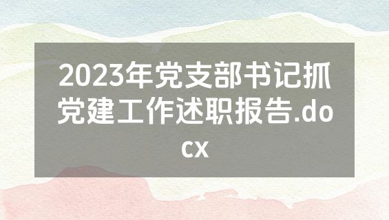 2023年党支部书记抓党建工作述职报告.docx