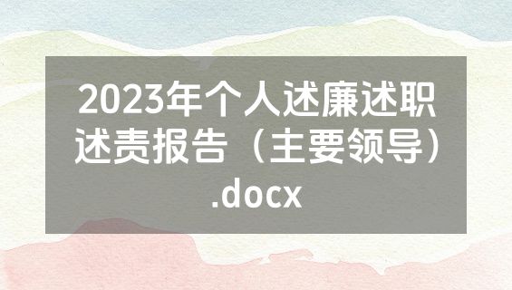 2023年个人述廉述职述责报告（主要领导）.docx