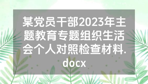 某党员干部2023年主题教育专题组织生活会个人对照检查材料.docx