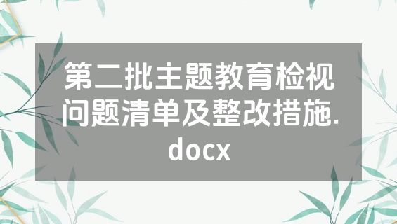 第二批主题教育检视问题清单及整改措施.docx