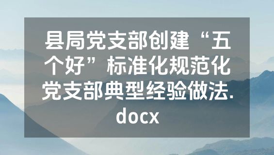 县局党支部创建“五个好”标准化规范化党支部典型经验做法.docx