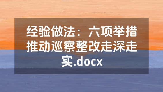 经验做法：六项举措推动巡察整改走深走实.docx