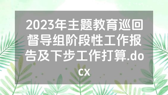 2023年主题教育巡回督导组阶段性工作报告及下步工作打算.docx