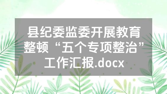 县纪委监委开展教育整顿“五个专项整治”工作汇报.docx