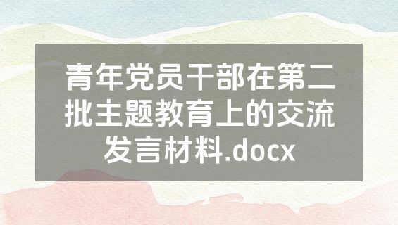 青年党员干部在第二批主题教育上的交流发言材料.docx