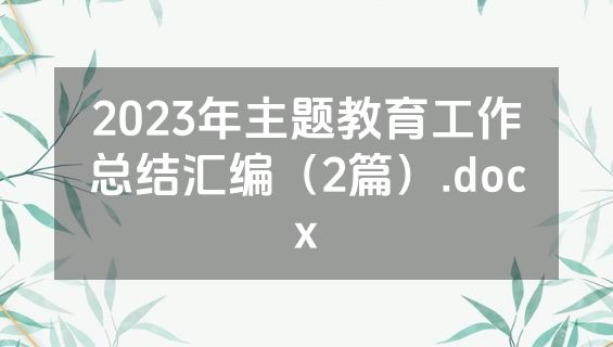 2023年主题教育工作总结汇编（2篇）.docx