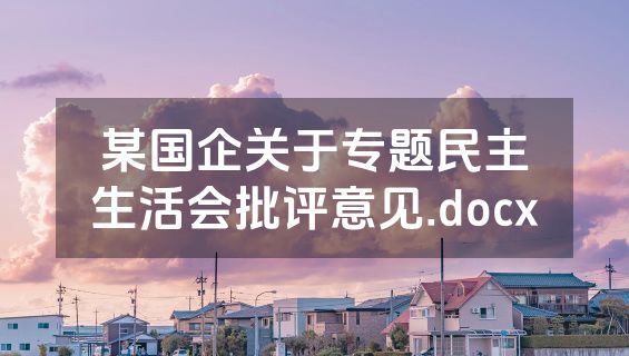 某国企关于专题民主生活会批评意见.docx