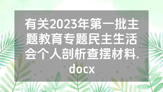 有关2023年第一批主题教育专题民主生活会个人剖析查摆材料.docx