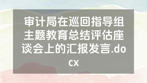 审计局在巡回指导组主题教育总结评估座谈会上的汇报发言.docx